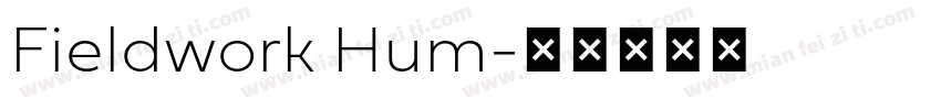 Fieldwork Hum字体转换
